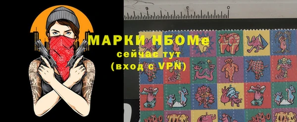 мдпв Верея